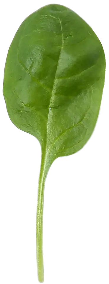 spinach on the table