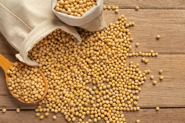 Soy Products Should You Take Or Not